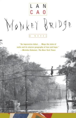 Monkey Bridge